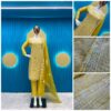 Heavy Designer Organza Handwork Suit