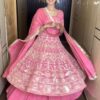 Sequance Work Geogette Lehenga Suit