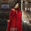 Alia Cut Georgette Sequance Work Suit