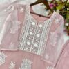 Heavy Organza Sequance Work Suit