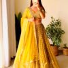 Sequance Embroidered Georgette Lehenga Choli
