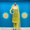 Sequance Embroidered Organza Suit