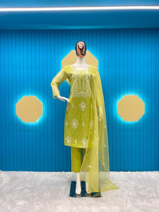Sequance Embroidered Organza Suit