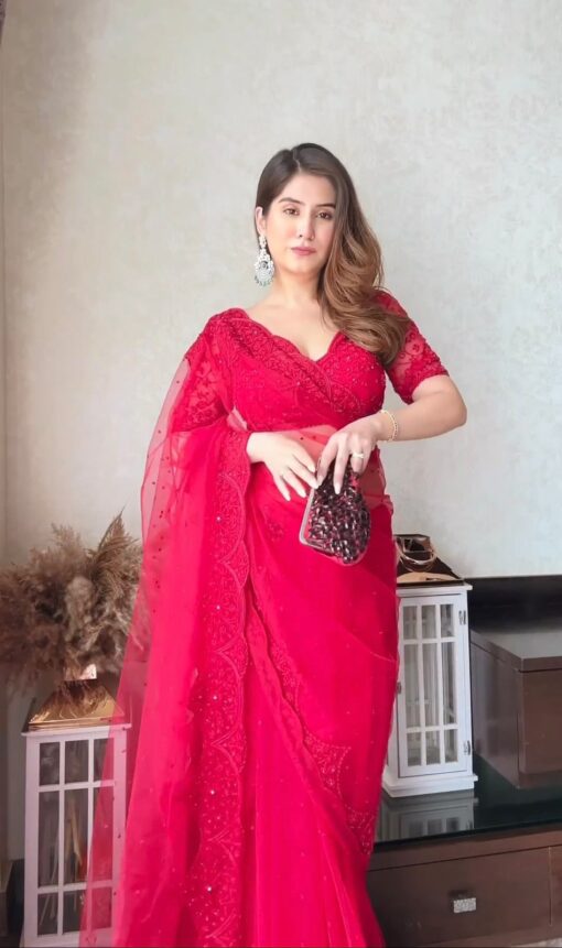 Sequance Work Organza Silk Saree