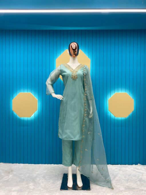 Sequance Work Organza Suits