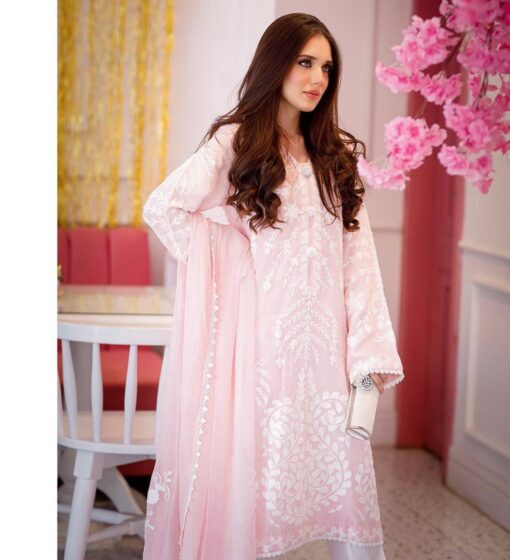 Shine Embroidered Georgette Suit Full Sleeves