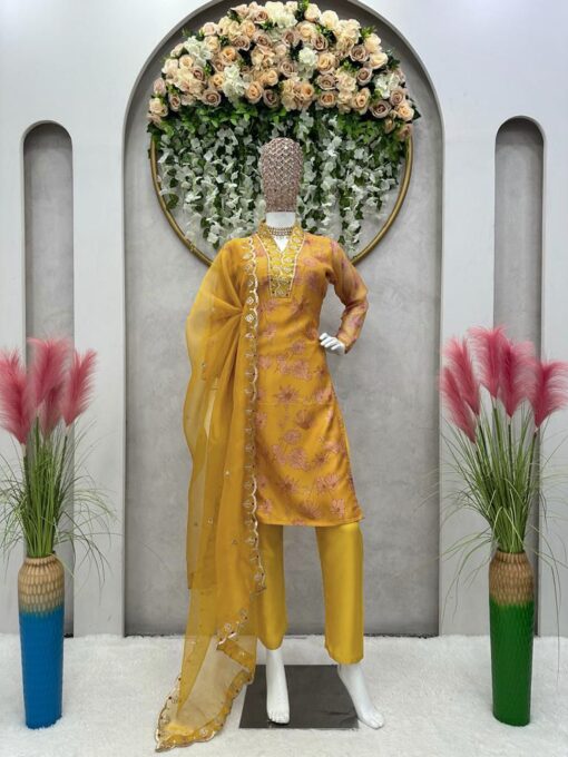 Thread & Sequance Tabby Organza Suit