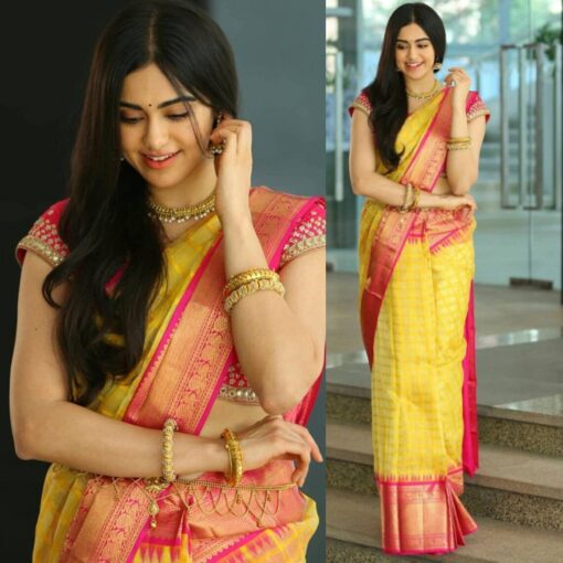 Rich Pallu Banarasi Soft Silk Saree