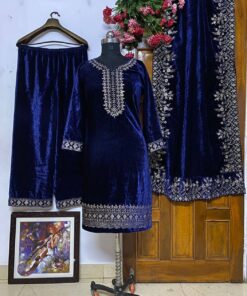 Beautiful Embroidery Work Velvet Suit