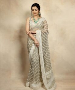 Butterfly Net Sequence Work Saree