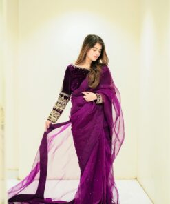 Moti Work Rangoli Saree With Velvet Embroidered Blouse