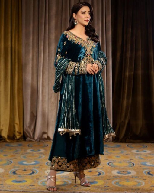 Velvet Sequence Embroidered Handwork Suit