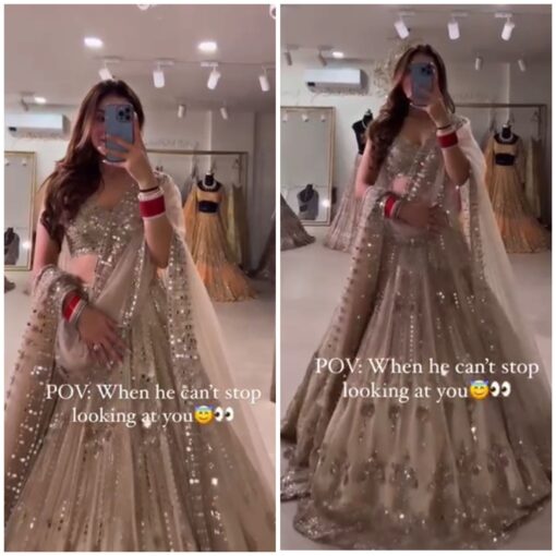 Mirror Work Organza Silk Lehenga Choli