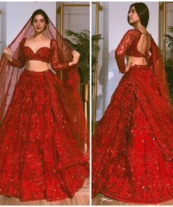 Sequence Embroidered Butterfly Net Lehenga Choli