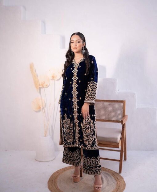 Velvet Sequence Embroidery Work Suit