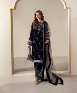Velvet Sequence Embroidery Work Suit Winter Collection